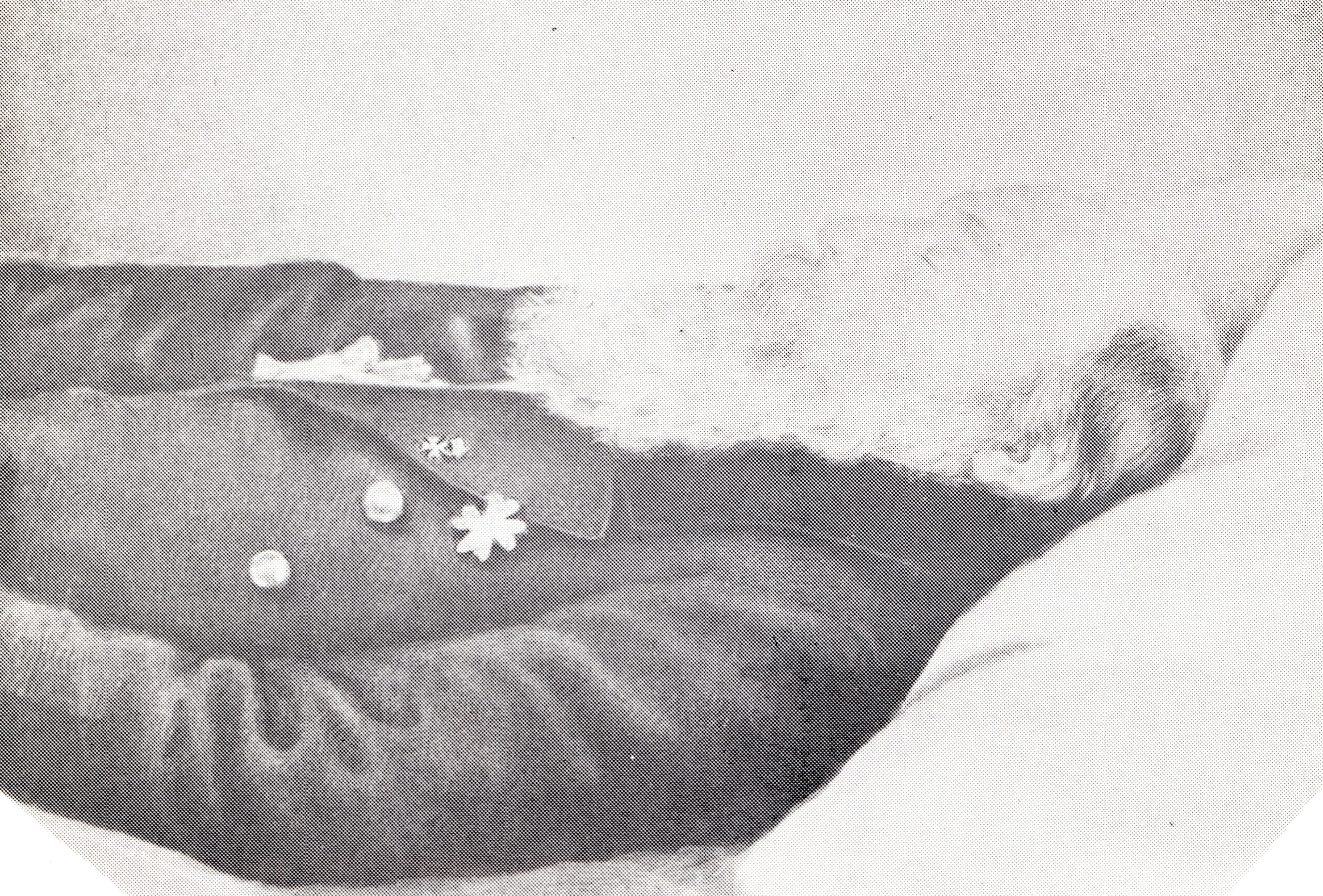 Photograph of Pearsall on his deathbed